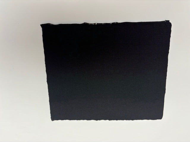 Original Gutmann Aktivkohlefilter TZ 458AK 220x180x10mm